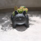 【おしゃれインテリア】フレンチブルドッグ鉢（ブラック）のサボテン寄せ植え｜育てやすい多肉植物｜ギフトにもおすすめ