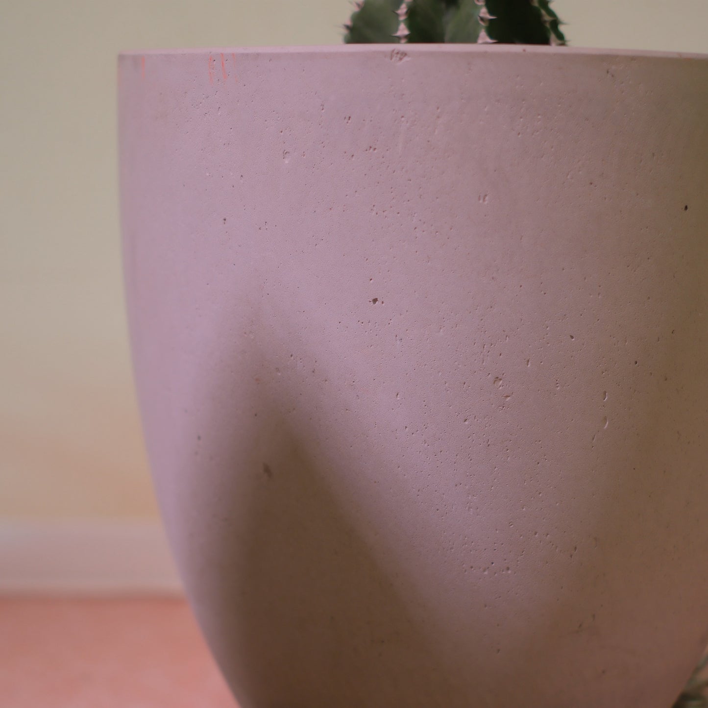 【東京都内限定配送／一点物】ユーフォルビア・アビシニカ｜Euphorbia abyssinica｜グレー陶器鉢・アンティーク加工【GORI STORE TOKYO】