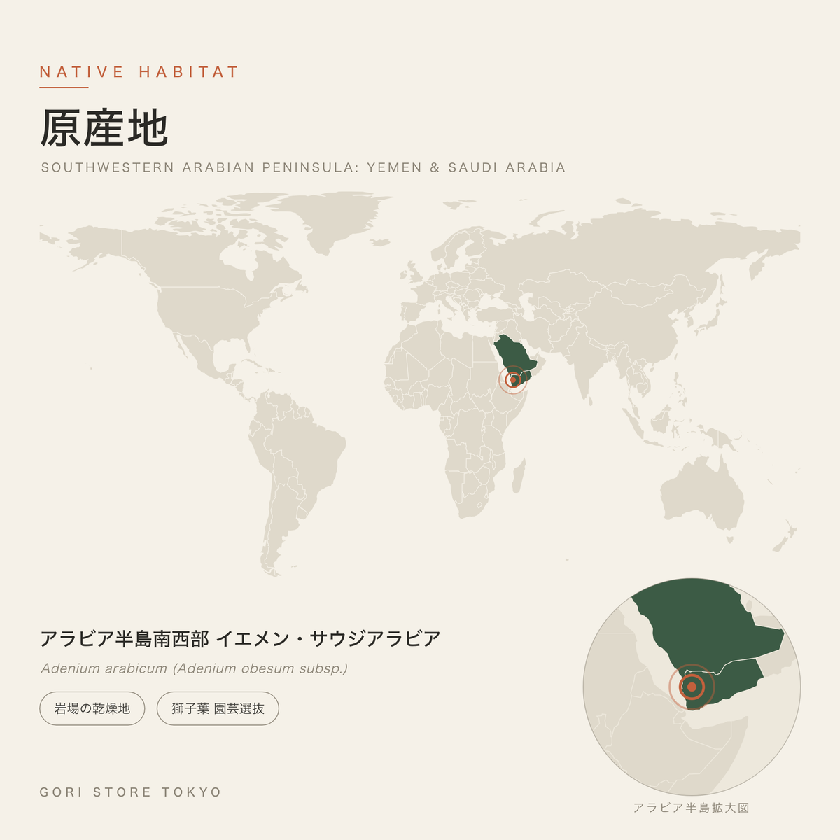 アデニウム アラビカム 獅子葉の原産地マップ アラビア半島南西部 イエメン・サウジアラビア 岩場の乾燥地 獅子葉 園芸選抜 GORI STORE TOKYO