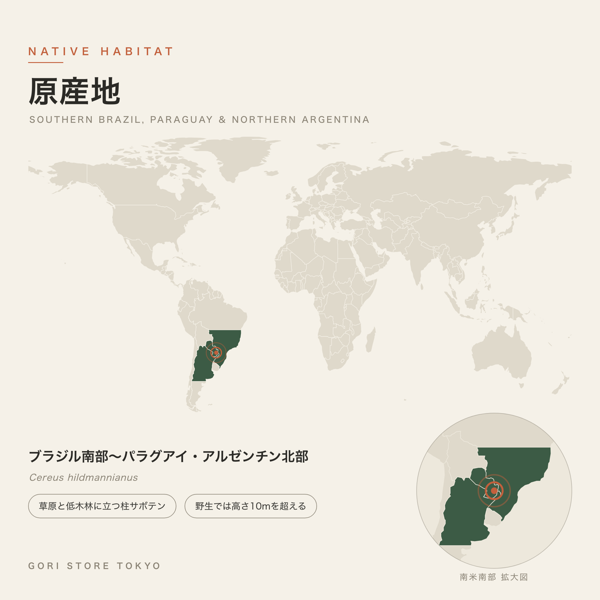 鬼面角（Cereus hildmannianus）の原産地マップ ブラジル南部 パラグアイ アルゼンチン北部 草原と低木林に立つ柱サボテン GORI STORE TOKYO