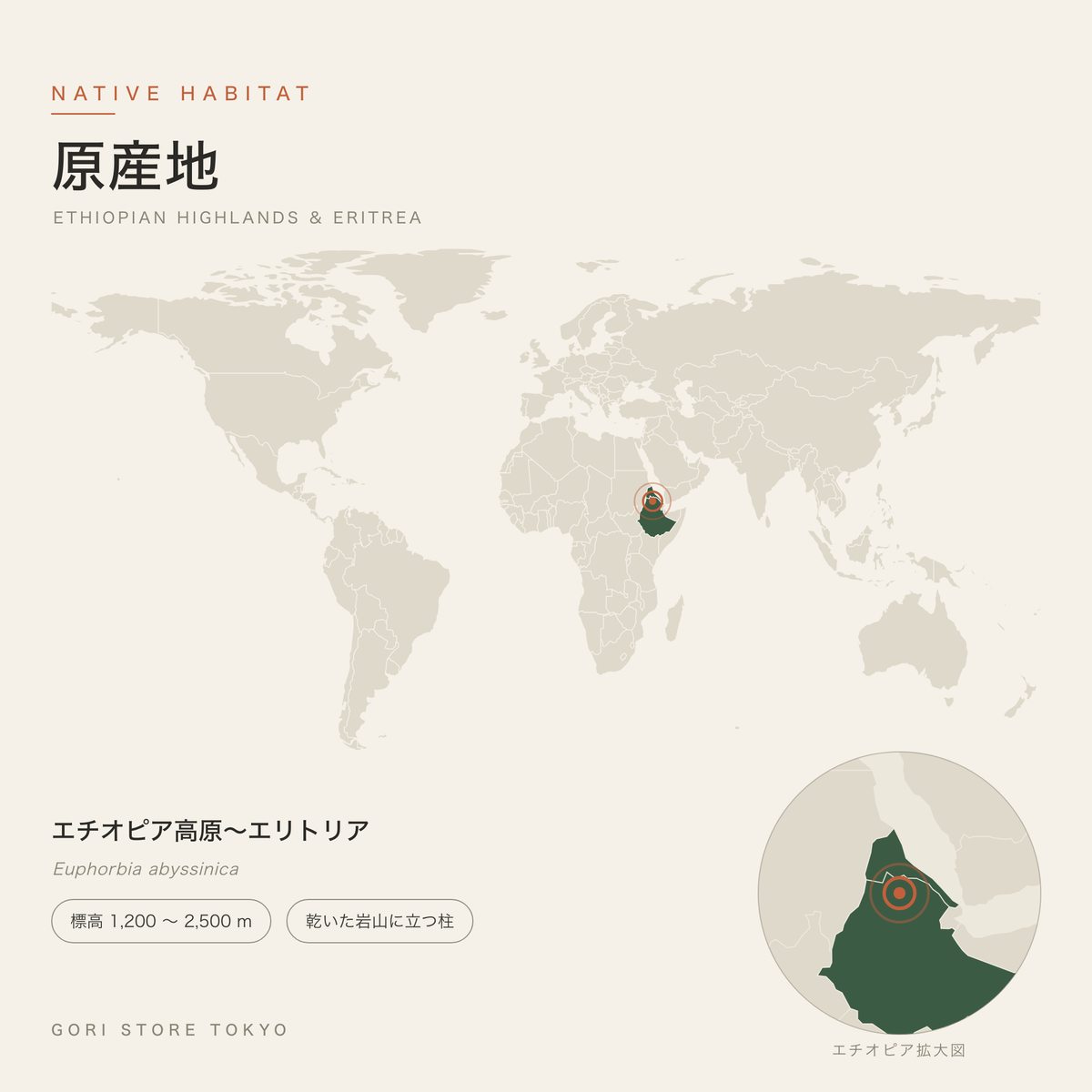 ユーフォルビア・アビシニカの原産地マップ エチオピア高原〜エリトリア 標高 1,200 〜 2,500 m 乾いた岩山に立つ柱 GORI STORE TOKYO