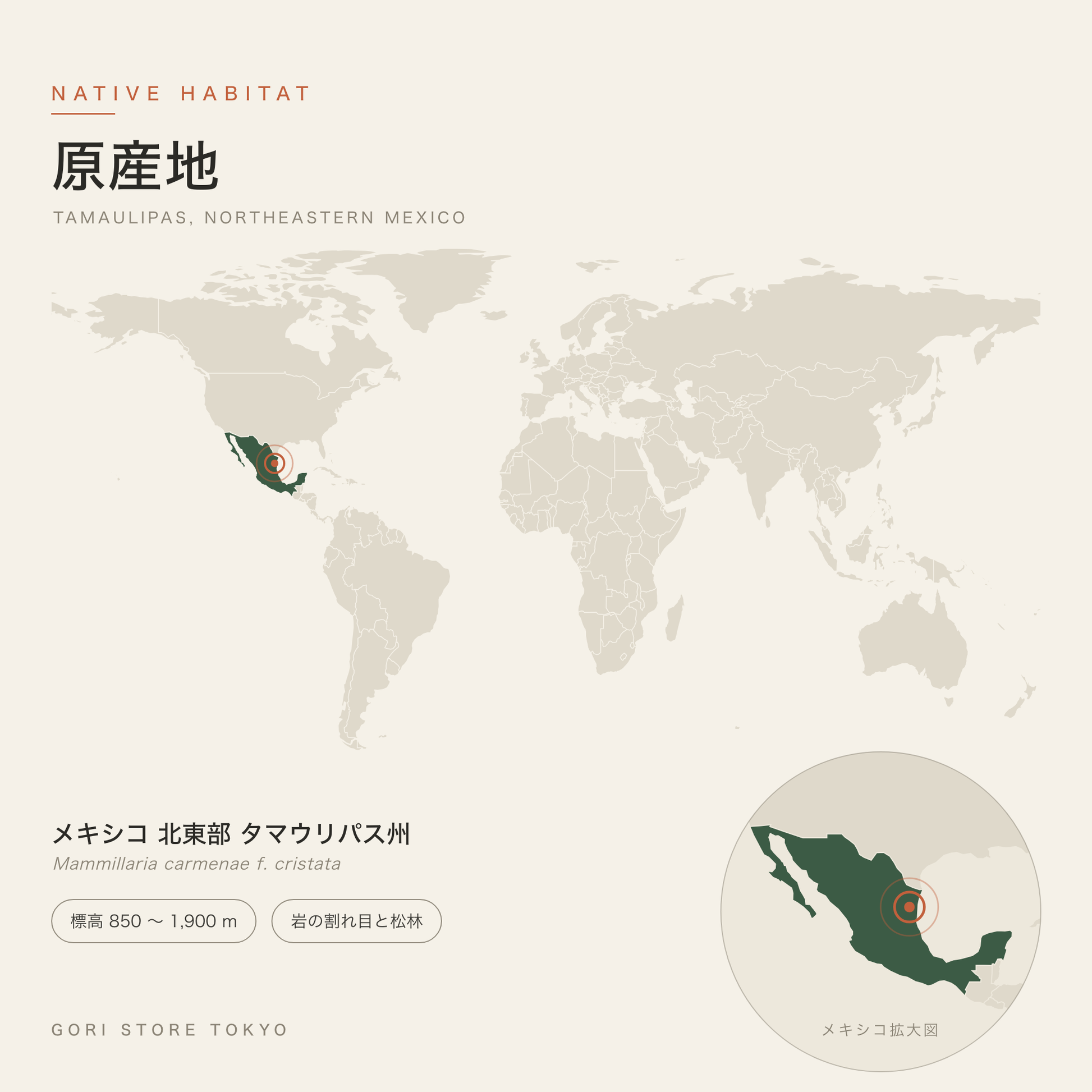 マミラリア・カルメナエの原産地マップ メキシコ北東部タマウリパス州 標高850～1900mの岩場と松林 GORI STORE TOKYO