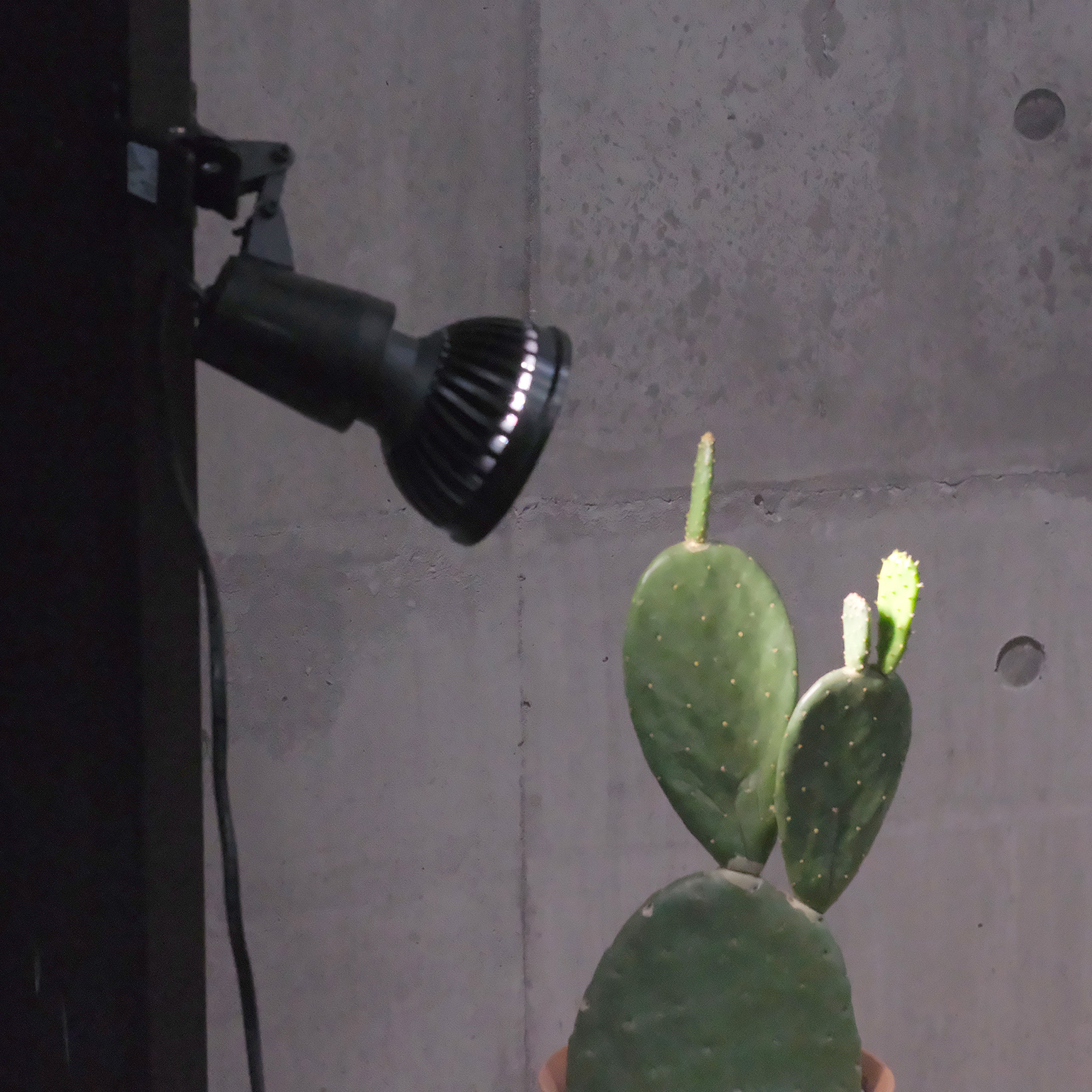 植物育成ライト＋タイマー付クリップソケット セット｜Plants NEXLIGHT