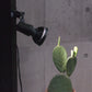 Plants NEXLIGHT 植物育成LEDライト 点灯中の設置例 株元に光を当てる