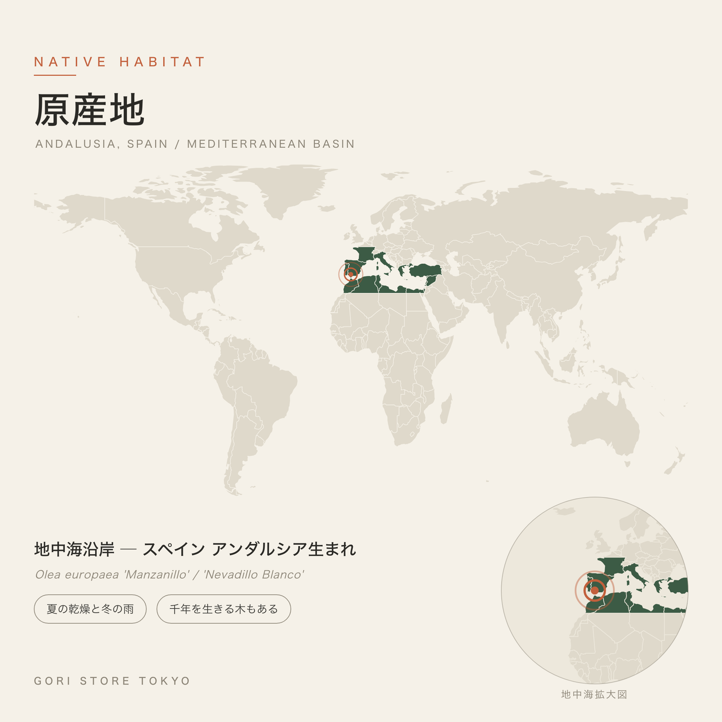 オリーブ（マンザニロ／ネバディロブランコ）の原産地マップ 地中海沿岸 ─ スペイン アンダルシア生まれ 夏の乾燥と冬の雨 千年を生きる木もある GORI STORE TOKYO