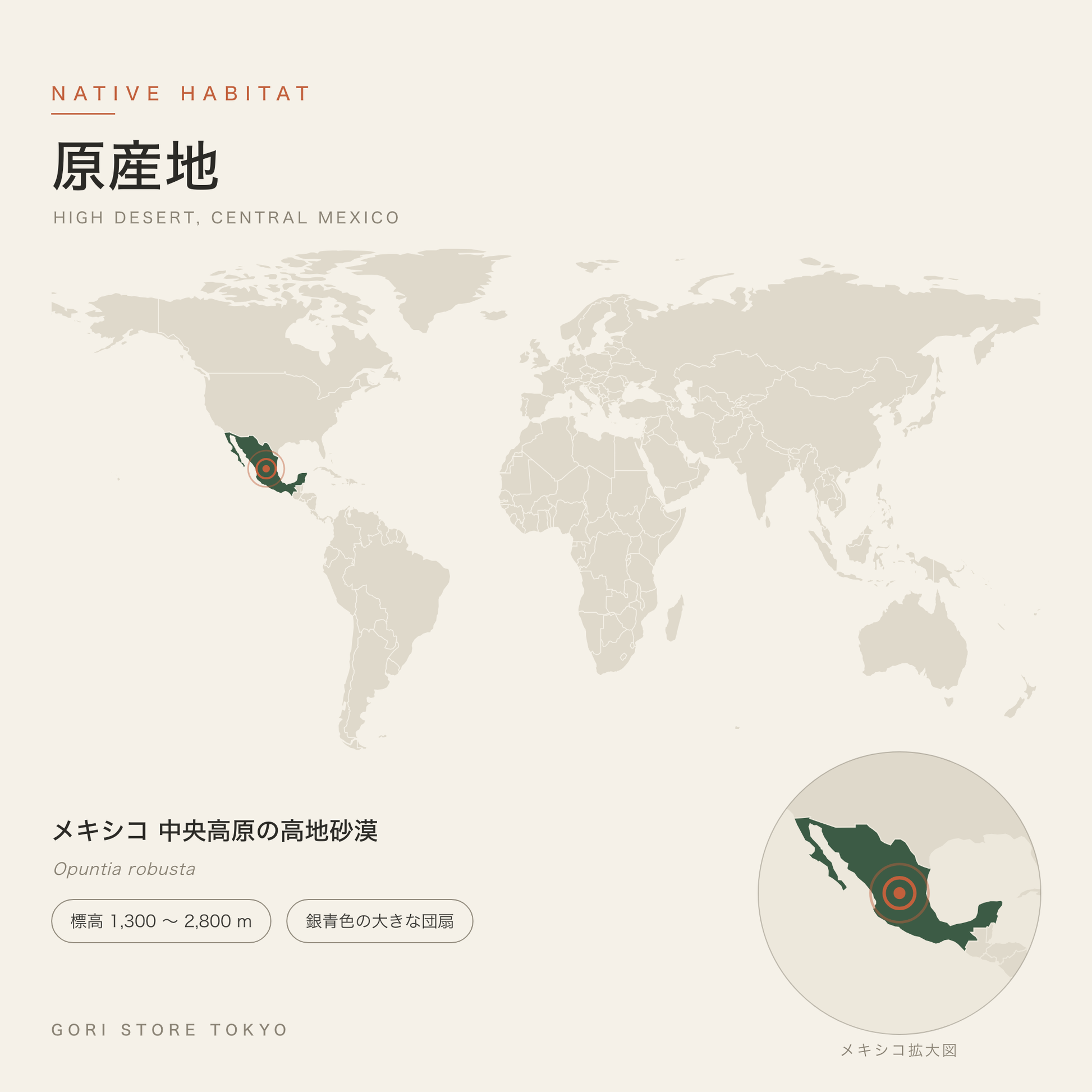 オプンチア・大丸盆の原産地マップ メキシコ 中央高原の高地砂漠 標高 1,300 〜 2,800 m 銀青色の大きな団扇 GORI STORE TOKYO