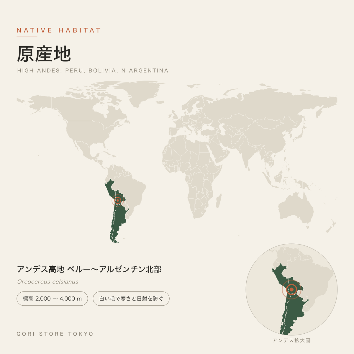 ライオン錦（オレオケレウス）の原産地マップ アンデス高地 ペルー〜アルゼンチン北部 標高 2,000 〜 4,000 m 白い毛で寒さと日射を防ぐ GORI STORE TOKYO