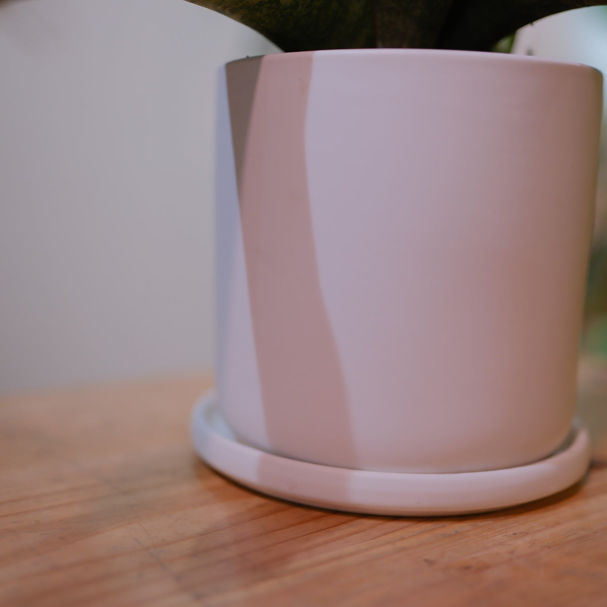 マットな質感のホワイト陶器鉢と受け皿のアップ GORI STORE TOKYO