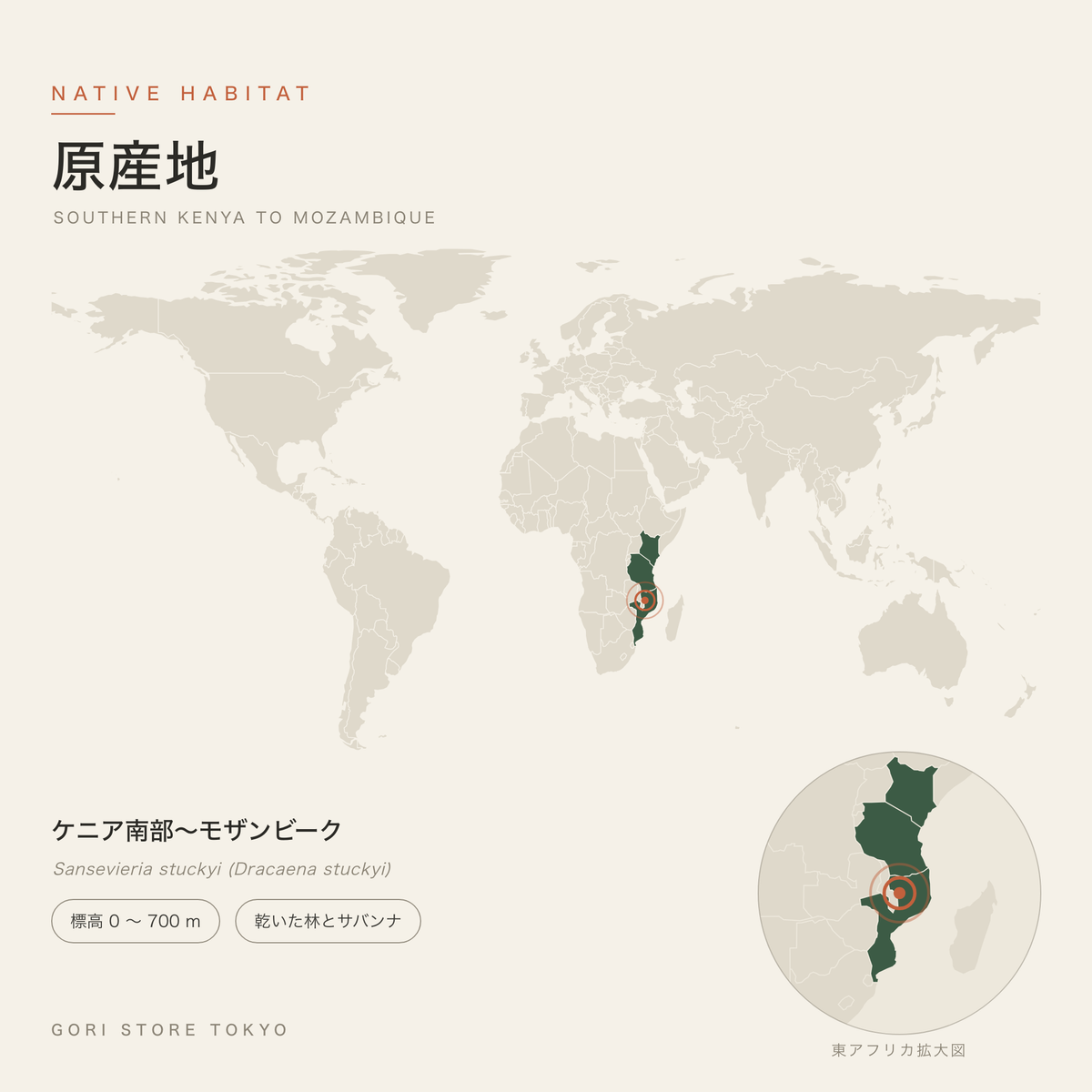 サンスベリア・スタッキーの原産地マップ ケニア南部〜モザンビーク 標高 0 〜 700 m 乾いた林とサバンナ GORI STORE TOKYO